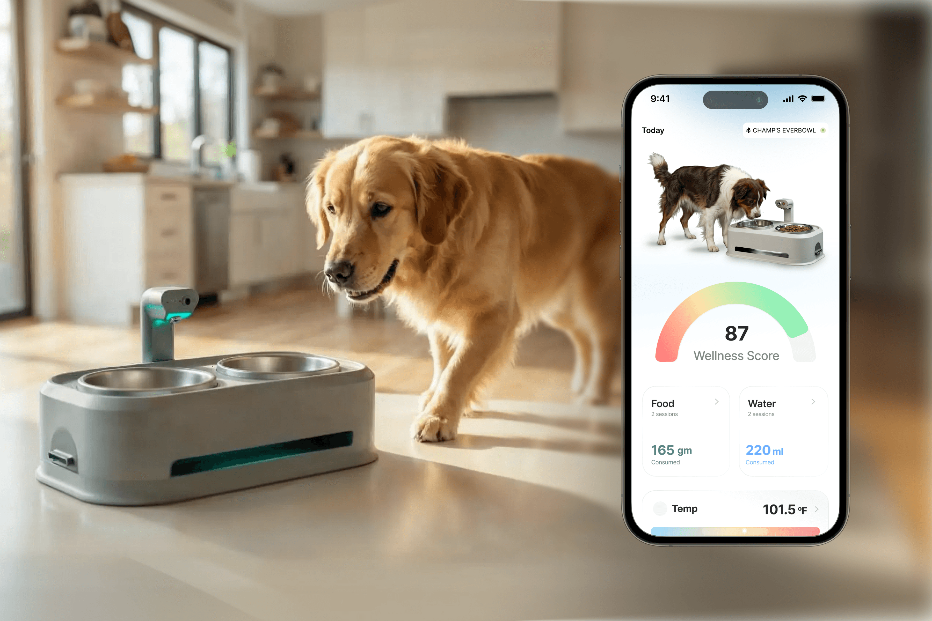 EverBowl in a warm, modern home