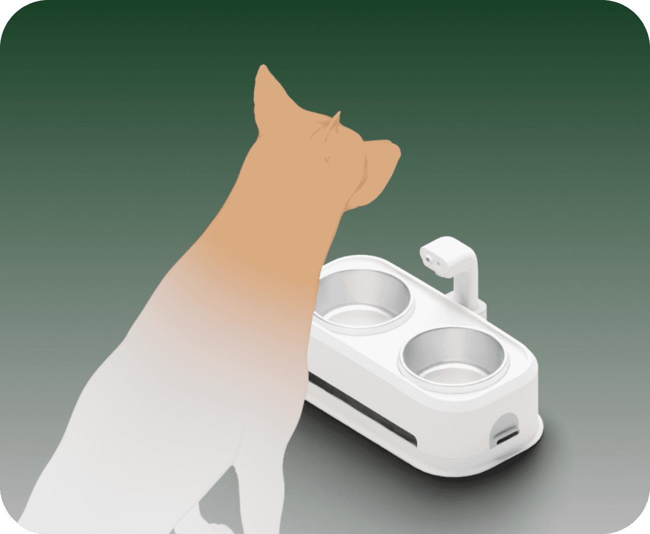 EverBowl subscription