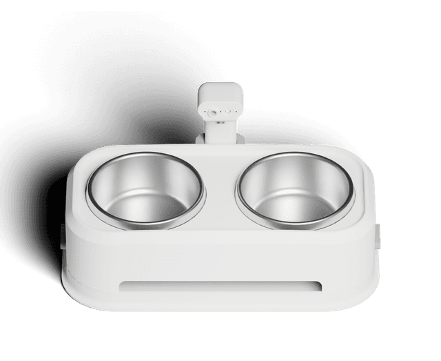 EverBowl smart pet bowl