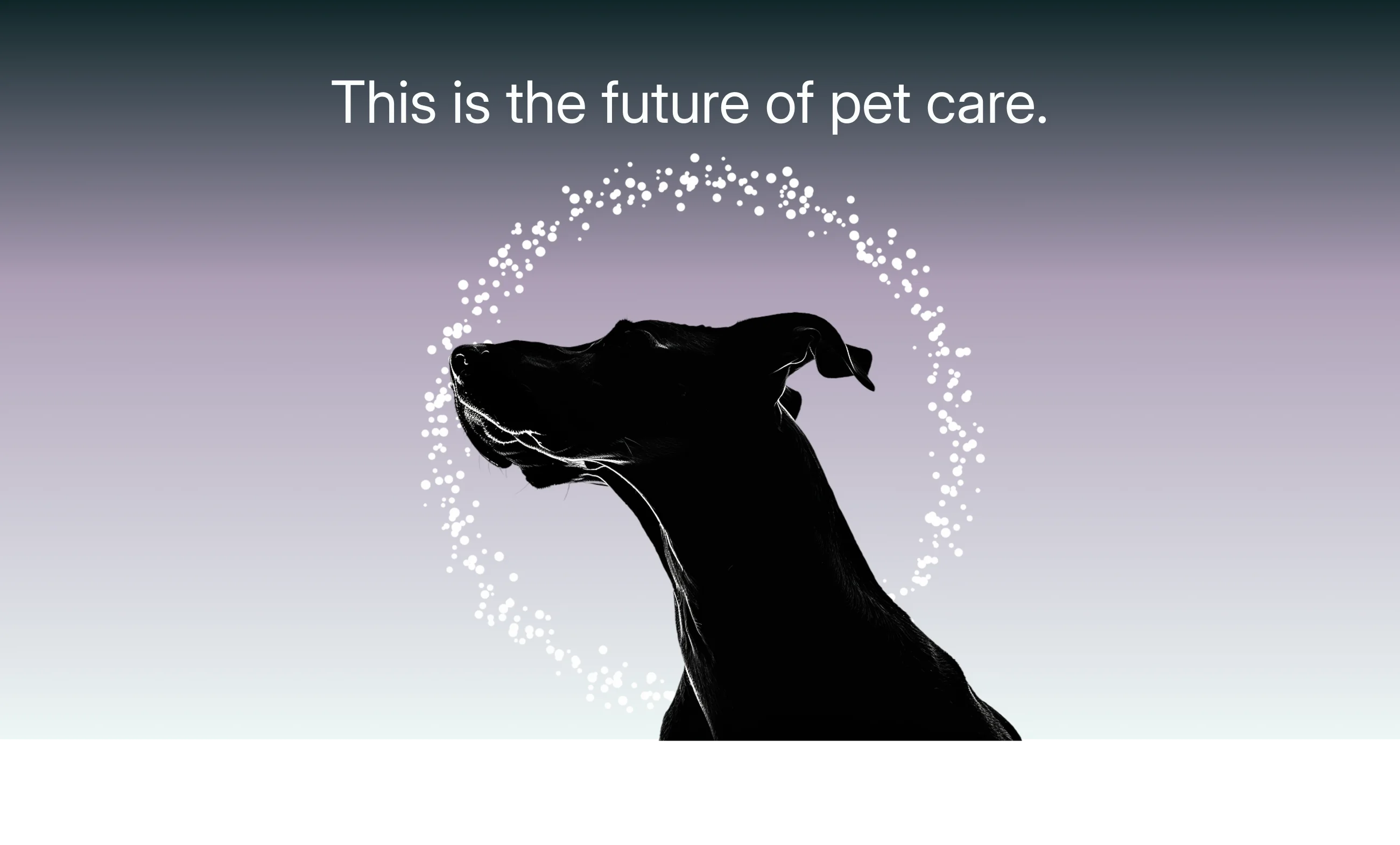 AI-powered preventive pet health monitoring — the future of dog care by Hoomanely